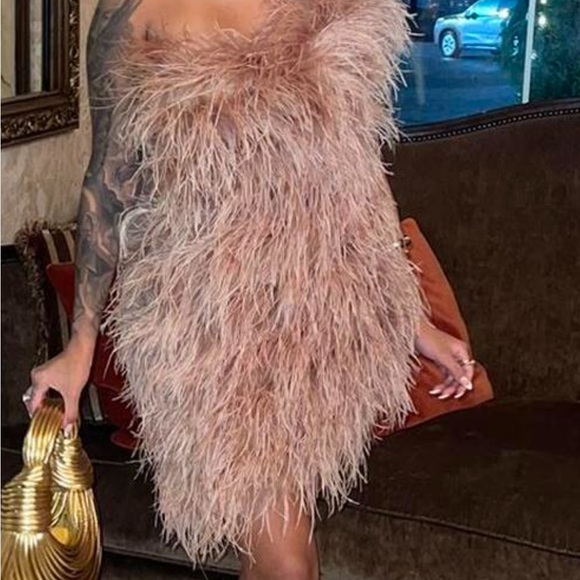 The BAR : Andre Dress in Champagne - Picture 4 of 6